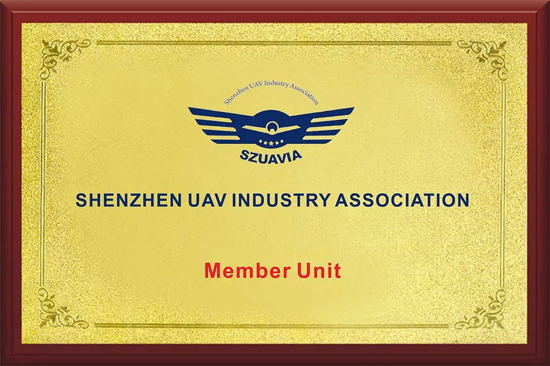 Honor certificate 1