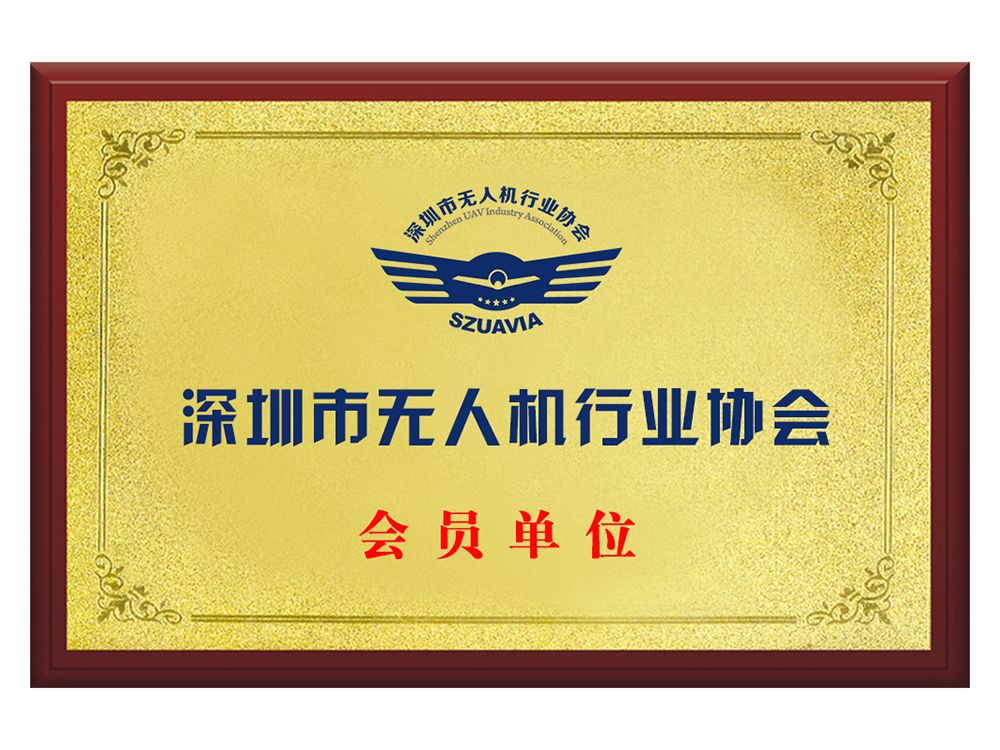 Honor certificate 3